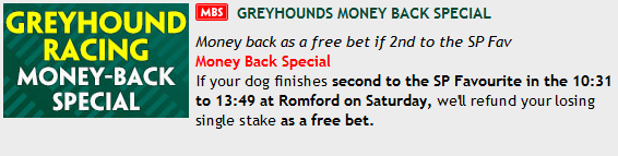 greyhound